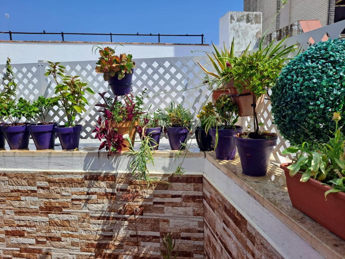 Appartement Atico Duplex Marques De Reyes